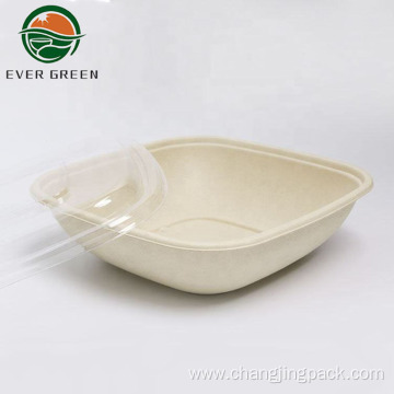 Disposable Biodegradable Square Fast Food Bento Container